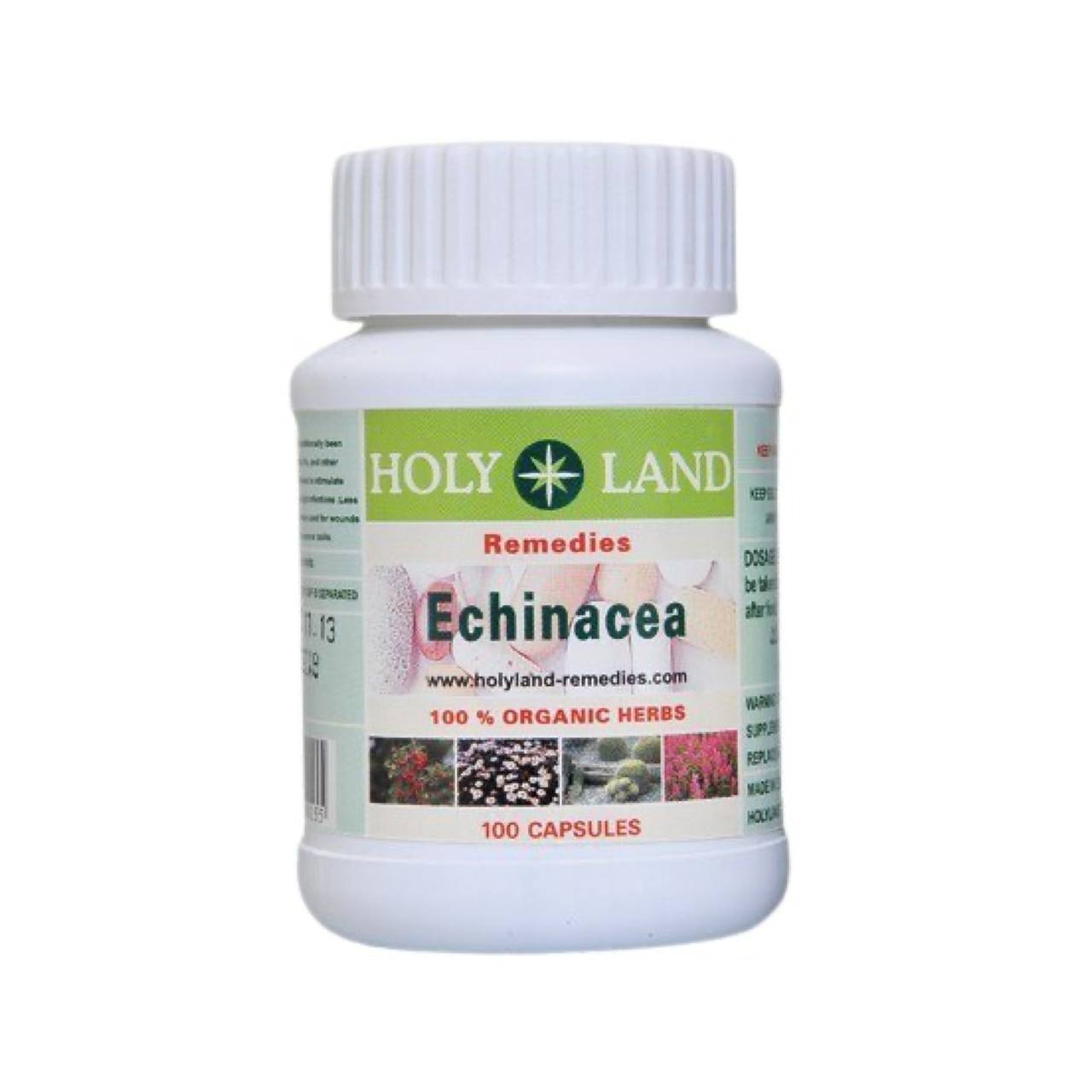 Echinacea
