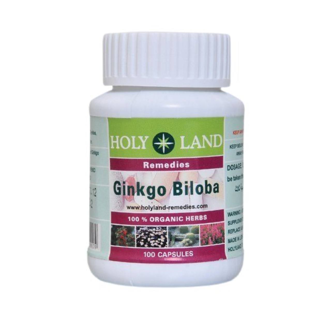 Ginkgo Biloba