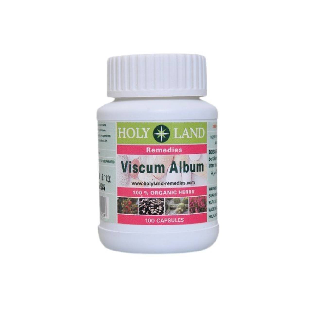 Viscum Album