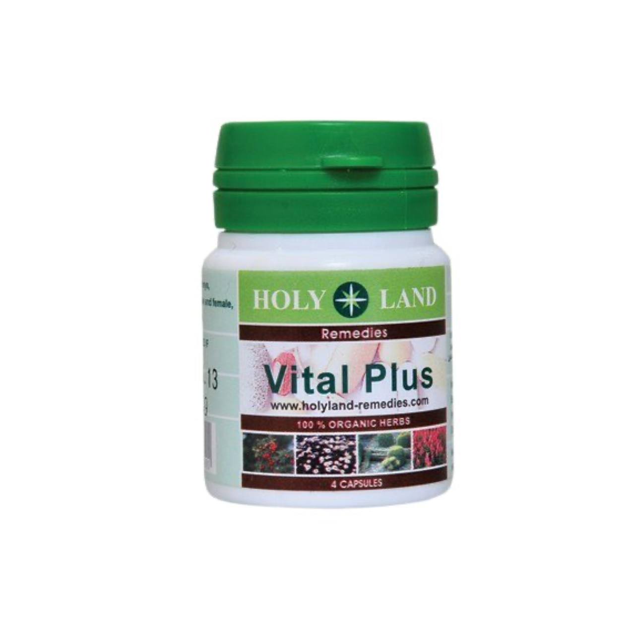 Vital Plus